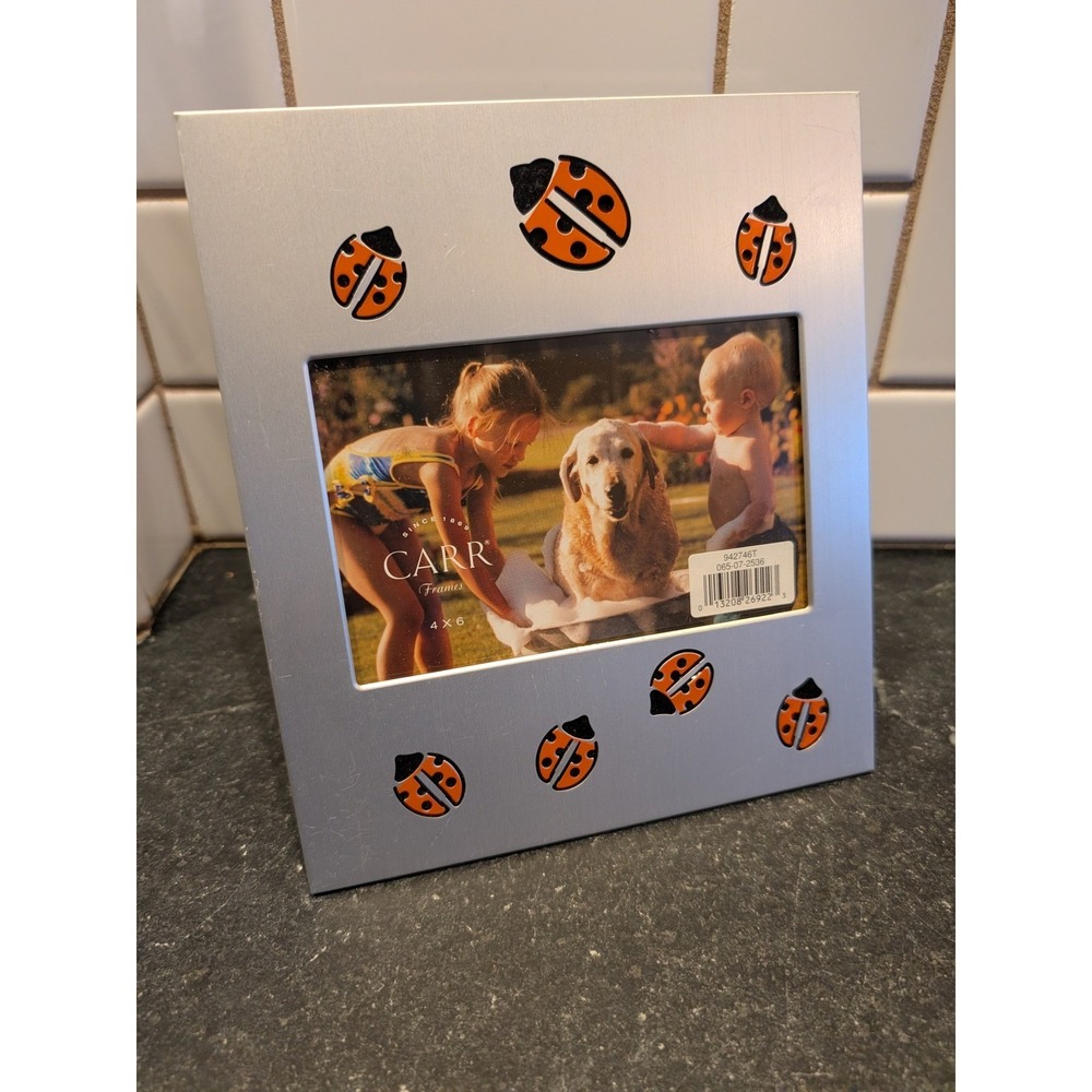 Carr Frames Silver Ladybug Photo Frame 4x6 Desk Display Kids Cute